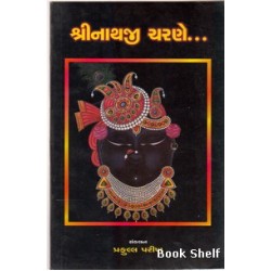 SHRINATHAJI CHARANE