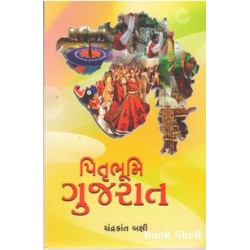 PITRUBHUMI GUJARAT