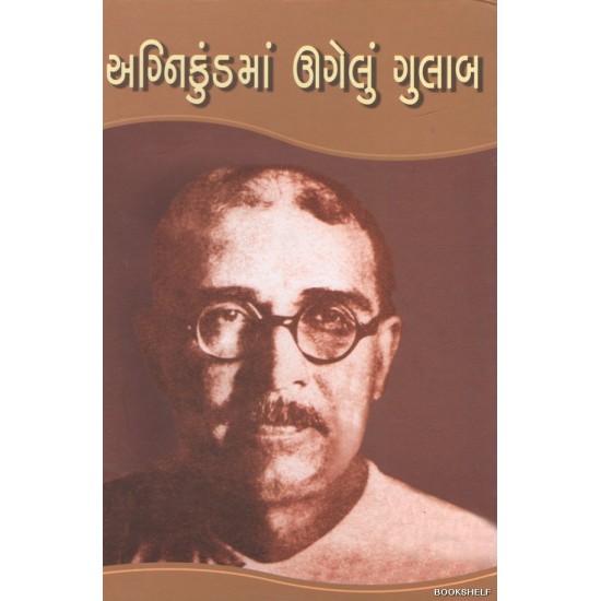 AGNIKUNDMA UGELU GULAB